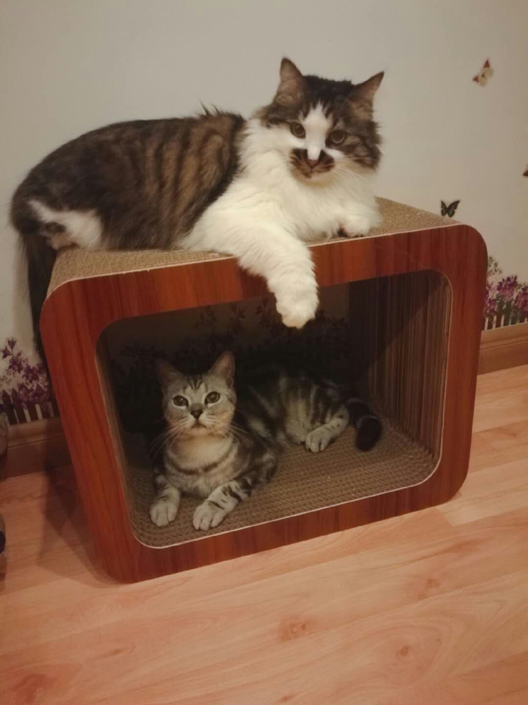 大中小号魔方猫抓板口字型套装猫玩具用品瓦楞纸磨抓可爱钻洞包邮