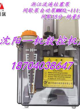 浙江流遍正品柱塞泵间歇泵自动泵MMXL-III型泵 间歇15分 排量5.5