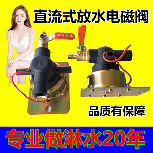 汽车货车全铜直流式淋水电磁阀喷水阀滴水刹车降温12V24V放水开关