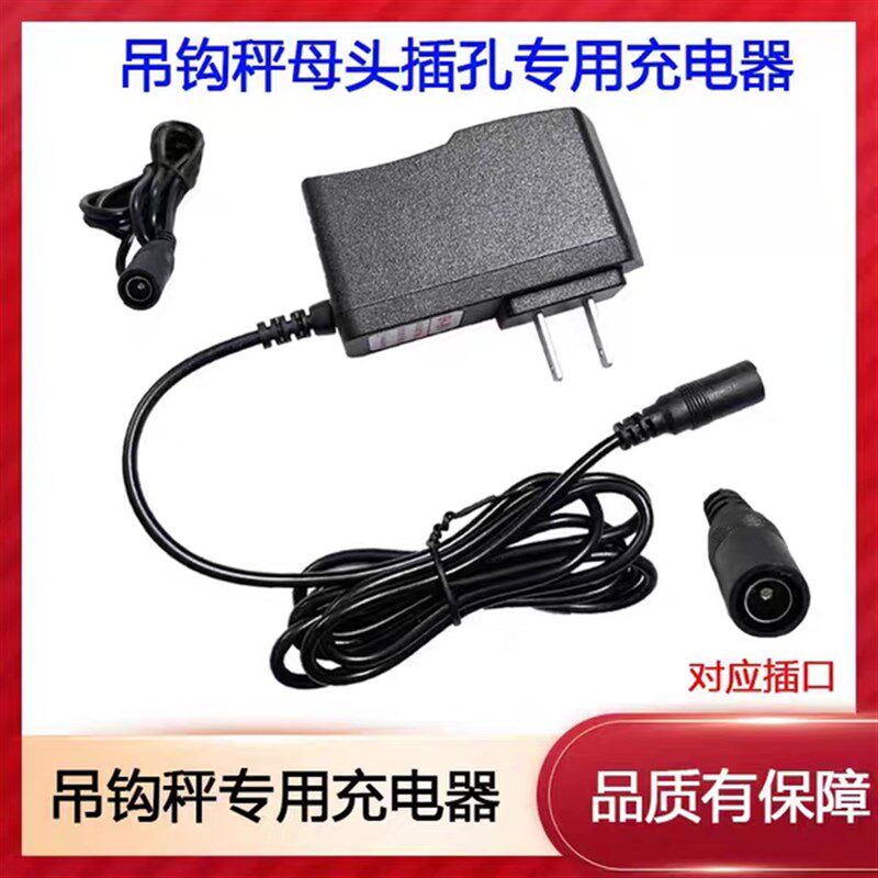 适用电子吊磅充电器四方万泰百鹰锐力吊钩吨秤称适配器电池冲电器