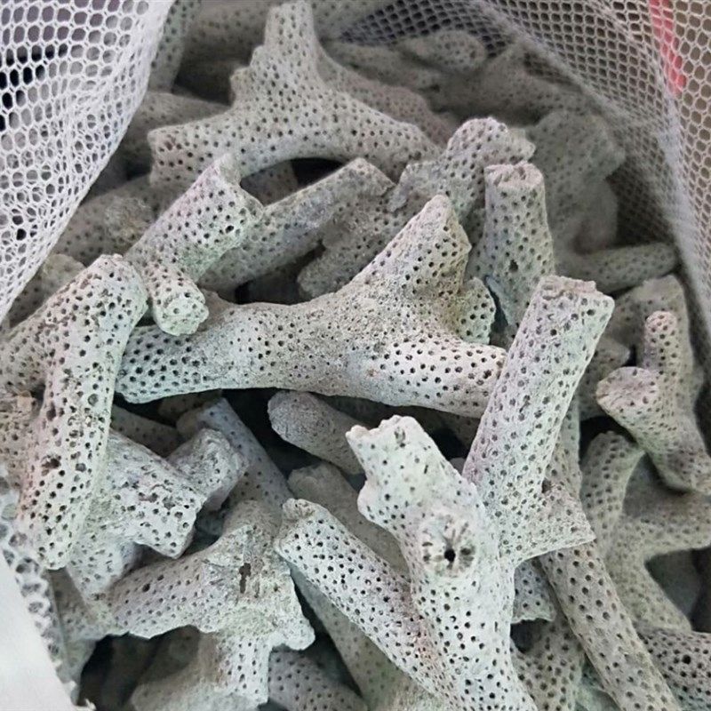 精品大号优质珊瑚骨鱼缸滤材优质珊瑚砂珊瑚石碎装饰造景净化水质