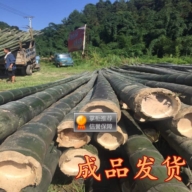 出售各种规格粗细大毛竹竹竿防腐竹杆菜园搭架竹竿篱笆竹子竹杆
