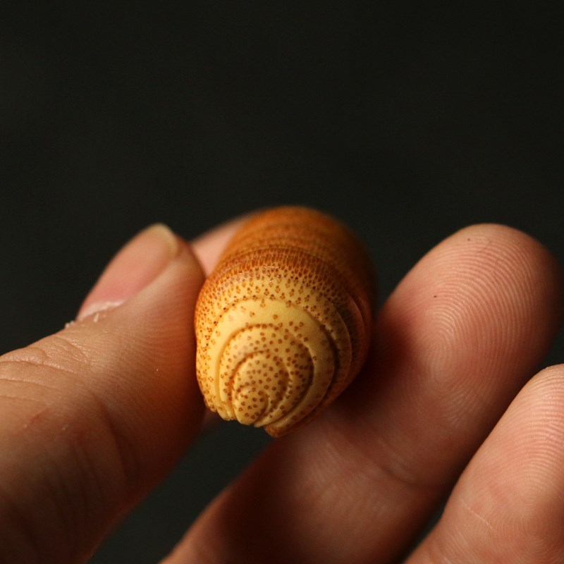 纯手工雕刻天然实心竹小毛毛虫竹雕小摆件精磨一体竹制小虫子把件