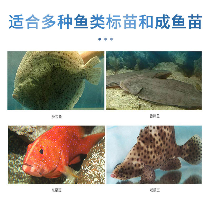 海童旺食养成用EP饲料鱼食缓沉型沉降型石斑鱼舌鳎鱼标苗成品鱼粮