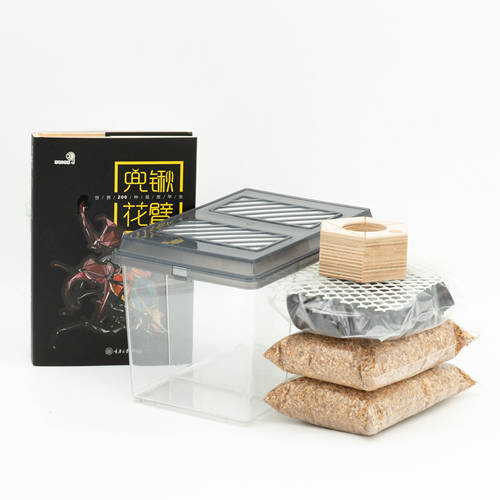 牧野虫社甲虫昆虫独角仙饲养盒饲养箱锹甲成虫饲育套装中国大锹