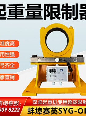 起重量限制器蚌埠赛英SYG-OB型起重机行车双梁超载限重保护器10T