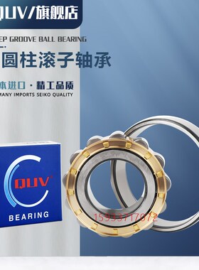 进口高速圆柱滚子轴承NJ NU NF N NUP207 208 209 210 211EM EW E