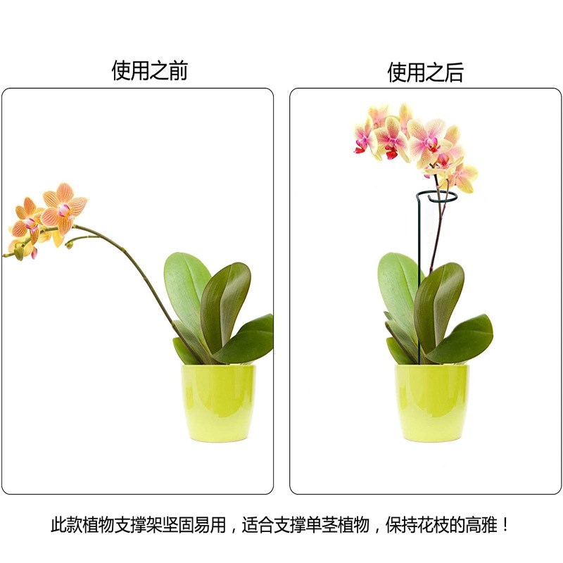 植物支撑绣球蝴蝶兰花架子固定架月季爬藤防倒伏铁艺花架护花桌面图片