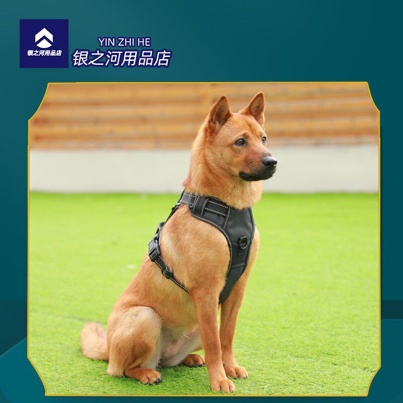 出口版狗牵引绳LED发光充电款背心式胸背带中型犬宠物夜光遛狗绳