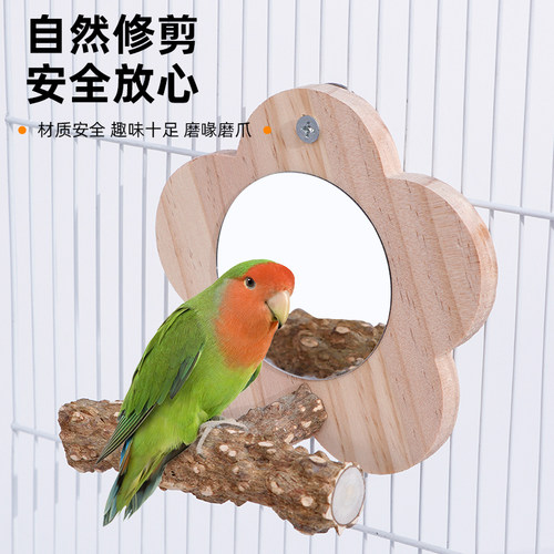 花椒木站架镜子虎皮牡丹玄凤啃咬棒站台鸟笼栖息站杆鹦鹉用品玩具