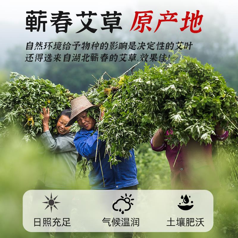 【5厘米】艾条纯艾家用三年湖北蕲春手工石磨粗特大雷火灸悬灸艾