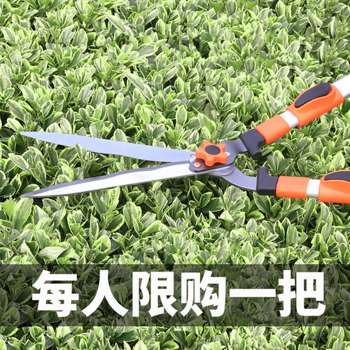 修枝剪高枝剪伸缩树枝专用园林植物花艺卉剪刀果树绿化花木修剪刀