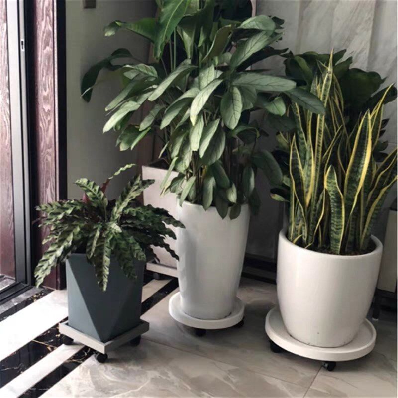 花叶花盆带轮接水托盘加厚盆栽移动底托万向滑轮风扇净化器底座