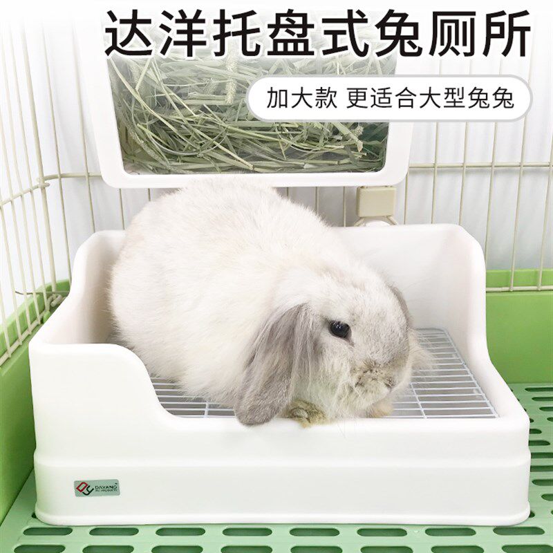 达洋新款两件式托盘厕所大号兔子厕所防掀翻可固定双层尿盆屎盆