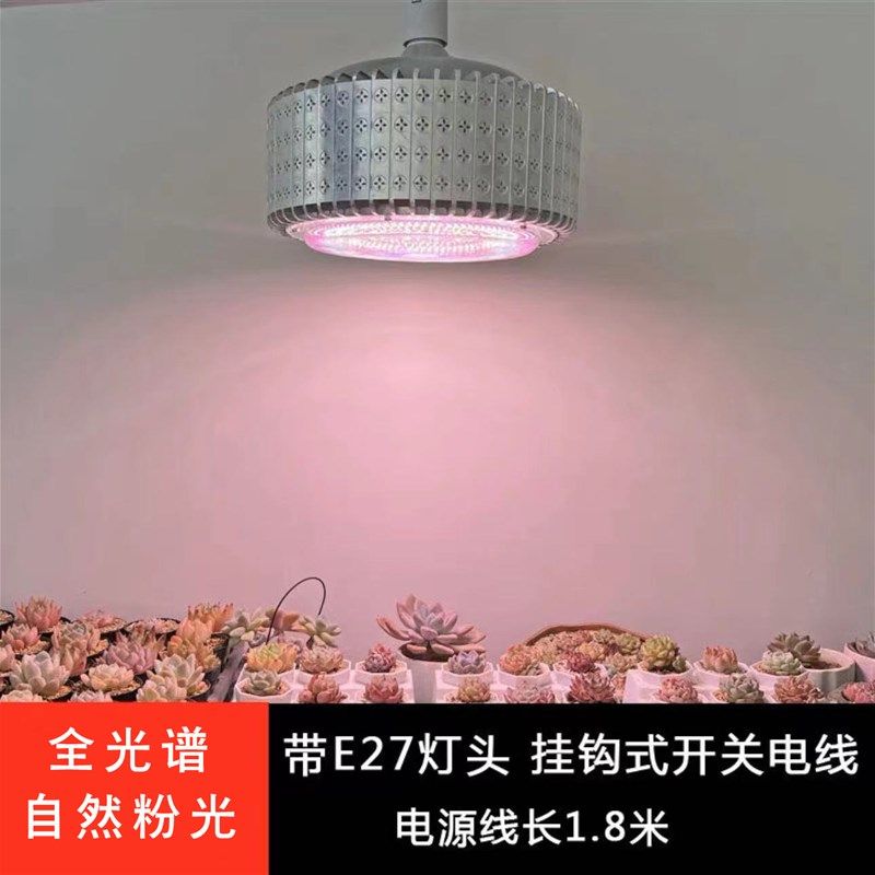 核管家多肉补光灯筒灯家用上色防徒长室内大棚绿植花卉育苗全光谱
