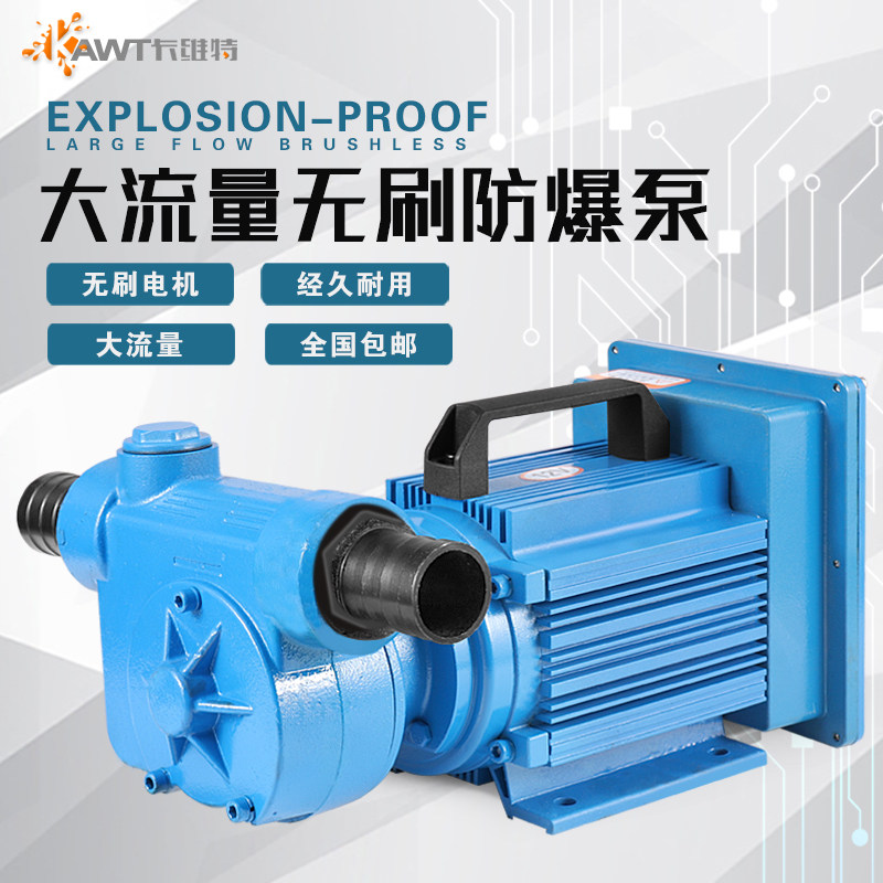 汽油泵12V24V防爆抽油泵220V车载加油机汽油甲醇乙醇溶剂油自吸泵