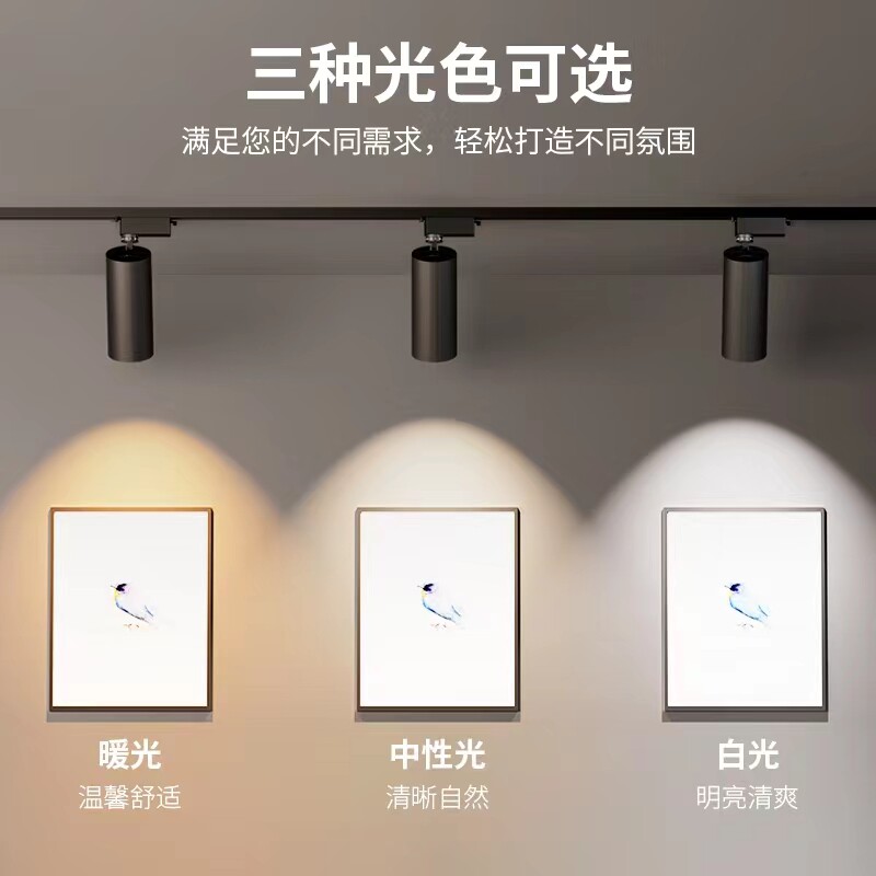 西硕服装店led射灯店铺商用超亮家用导轨式cob聚光背景墙轨道灯
