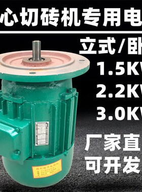 腾源空心砌砖机力源制砖机电机ZD131-4/2.2/3.0KW锥形转子电动机
