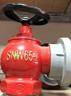 SN65消放栓室内消火栓SNZ65 SNZW65旋转减压稳压消火栓芜湖