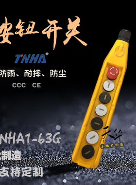 意大利GG按钮盒行车TNHA1-63G 62G 63G 64G 65G手柄按钮翘板开关