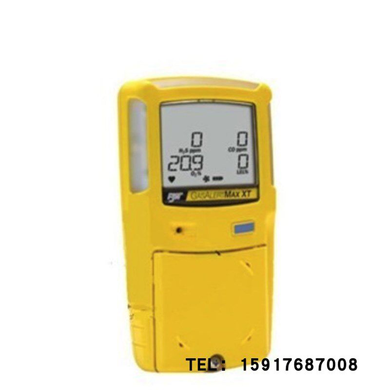 加拿大BW GasAlertMax XT II 四合一气体检测仪内置泵吸式 XT-2