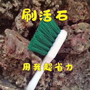 东杰聊海刷活石海水珊瑚鱼缸开缸用清洁刷石头省力好用刷子