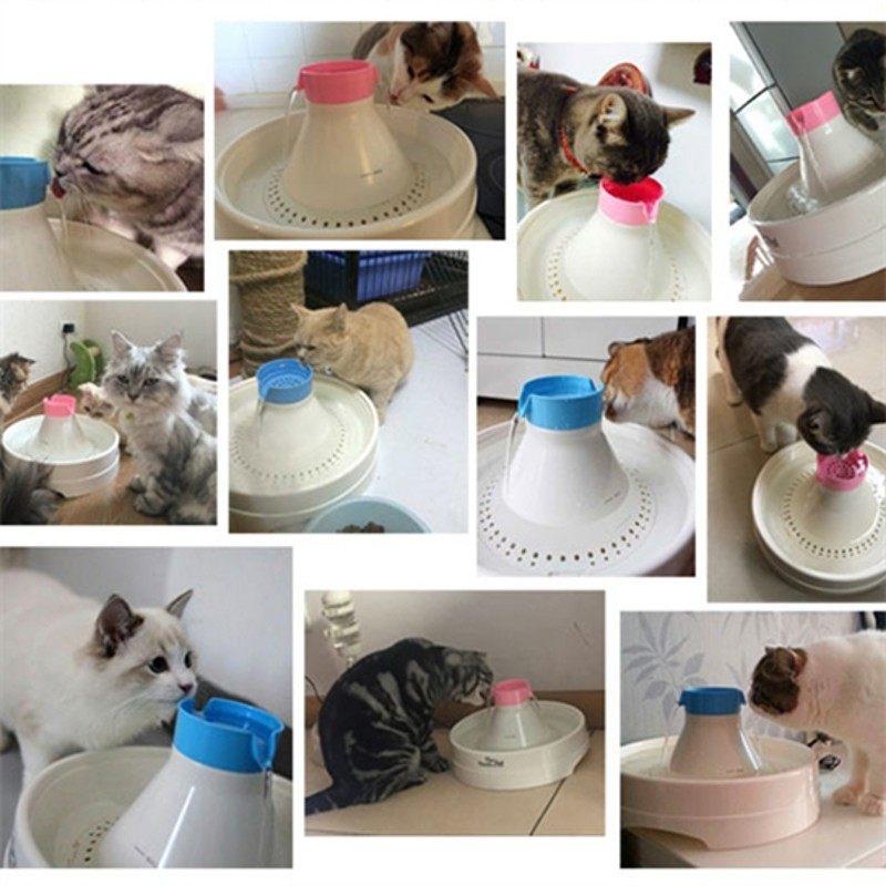 绿洲之光宠光宠物猫咪狗狗饮水机自动循环喝水器静音过滤芯棉活水