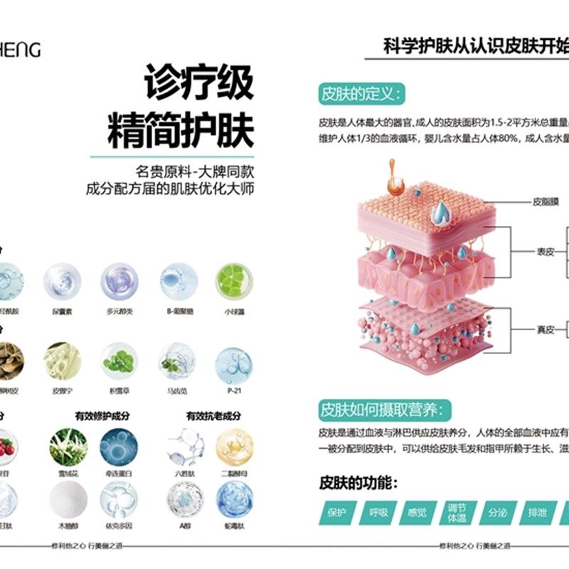 问题肌肤面诊画册问题性肌肤全面解决方案护理手册美容院全效管理