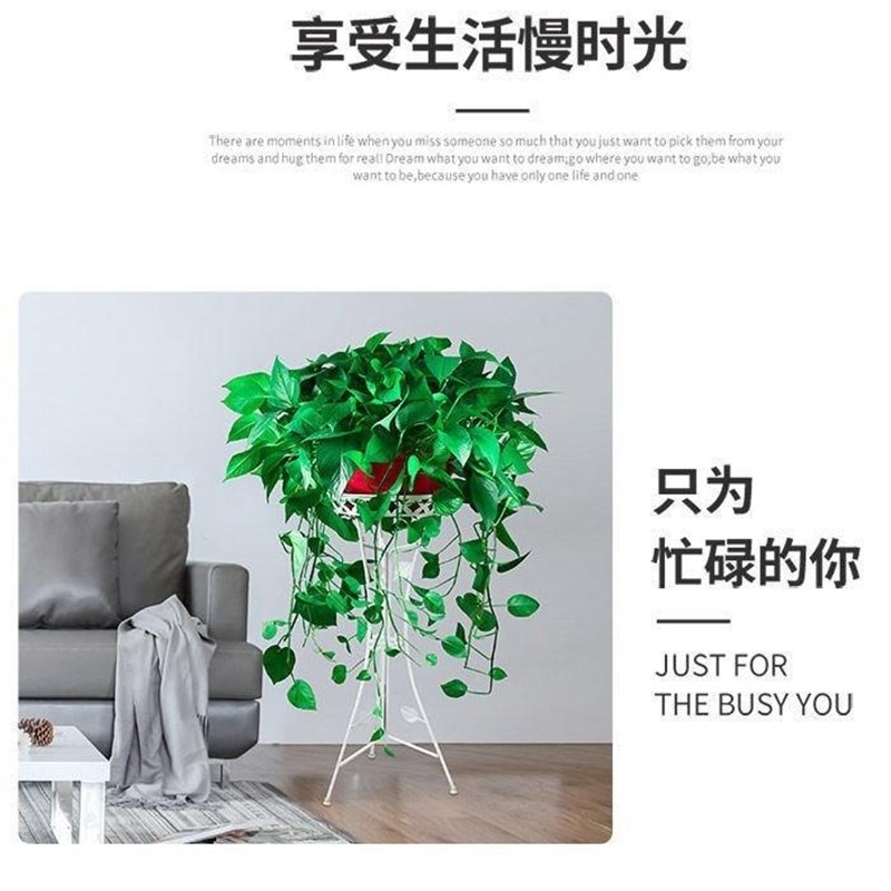 三脚架花架欧式室内客厅铁艺花盆架落地式家用阳台吊兰绿萝置物架