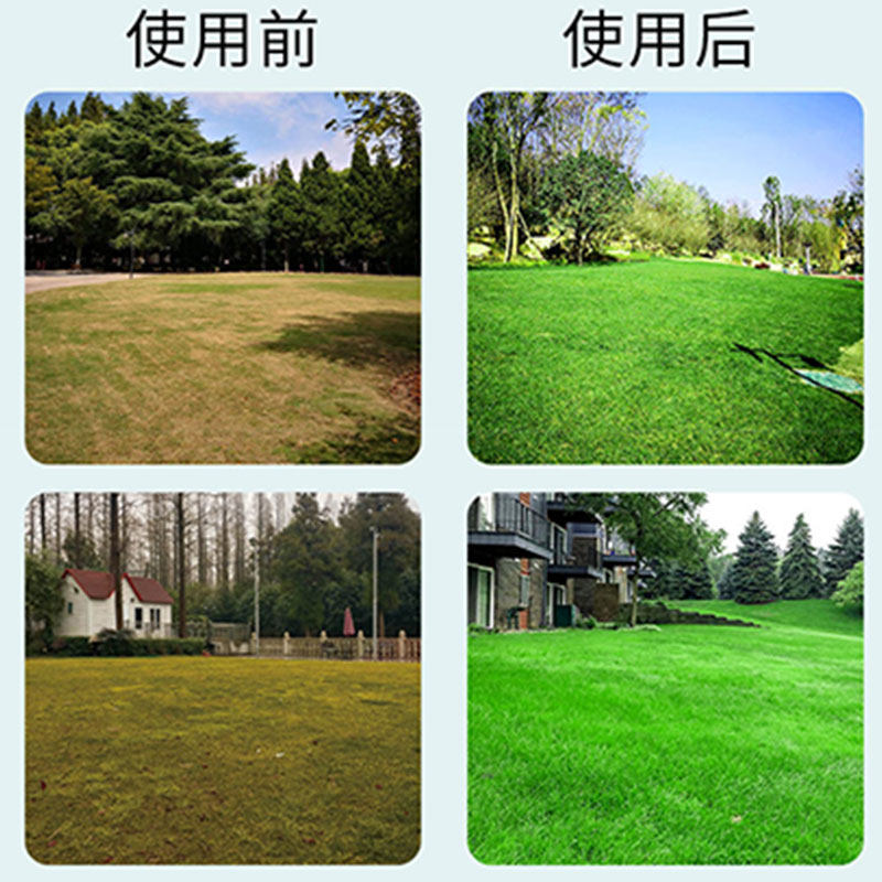 草坪专用肥料营养液植物通用型草皮养护生根液绿化草皮增绿活力素