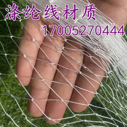 涤纶线防鸟网草莓大棚果树樱桃葡萄梨树蓝莓果园防鸟用网尼龙天网