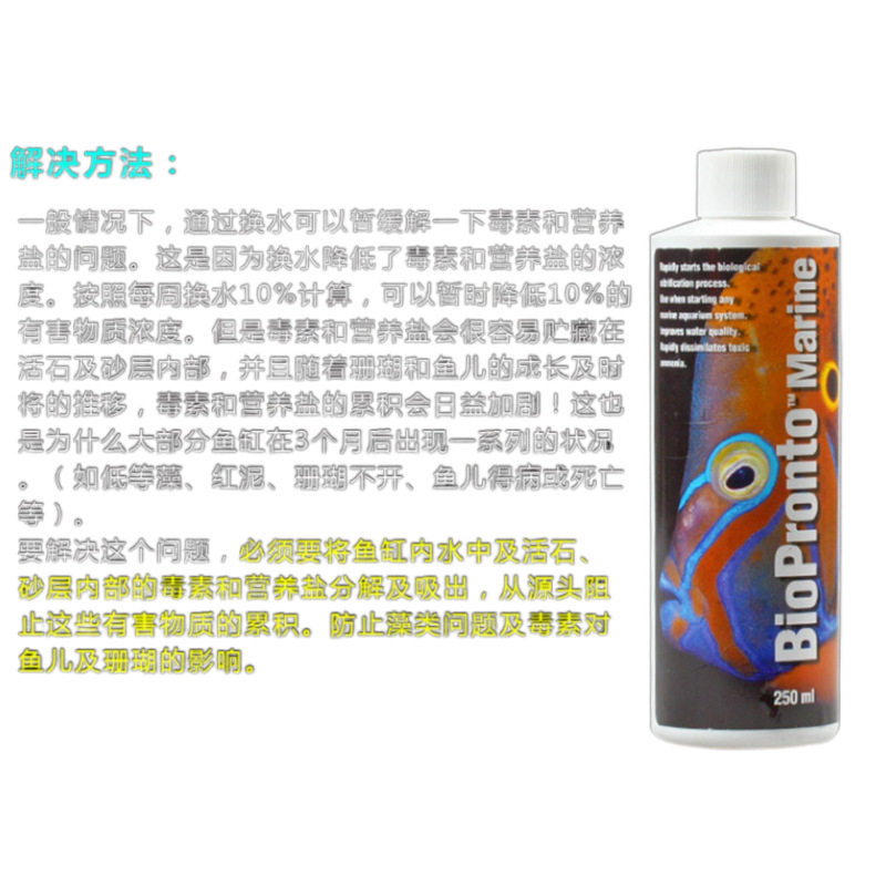 两只小鱼硝化细菌鱼缸用消化细菌活菌净水海水鱼缸水质稳定剂药剂