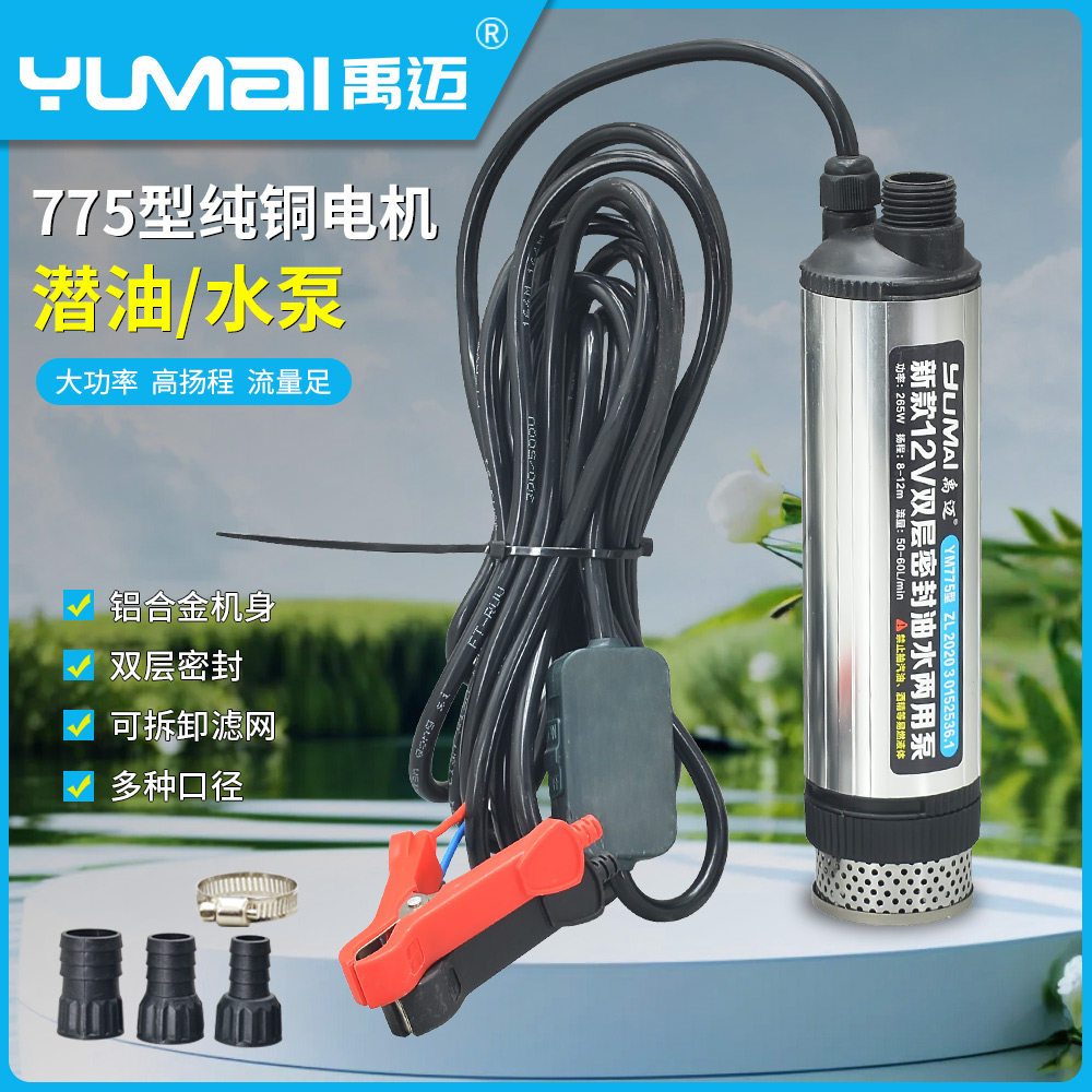 大功率柴油泵12V抽油泵24V小型电动潜水泵220V自吸式水泵
