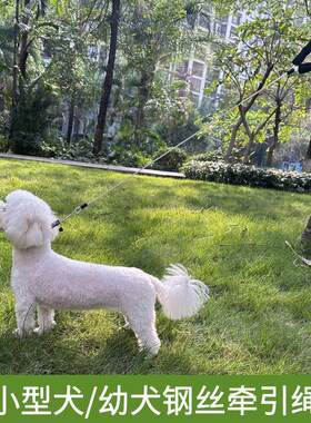 狗狗防咬牵引绳小型犬遛狗绳幼犬2斤3斤猫绳兔绳博美小体犬牵狗绳