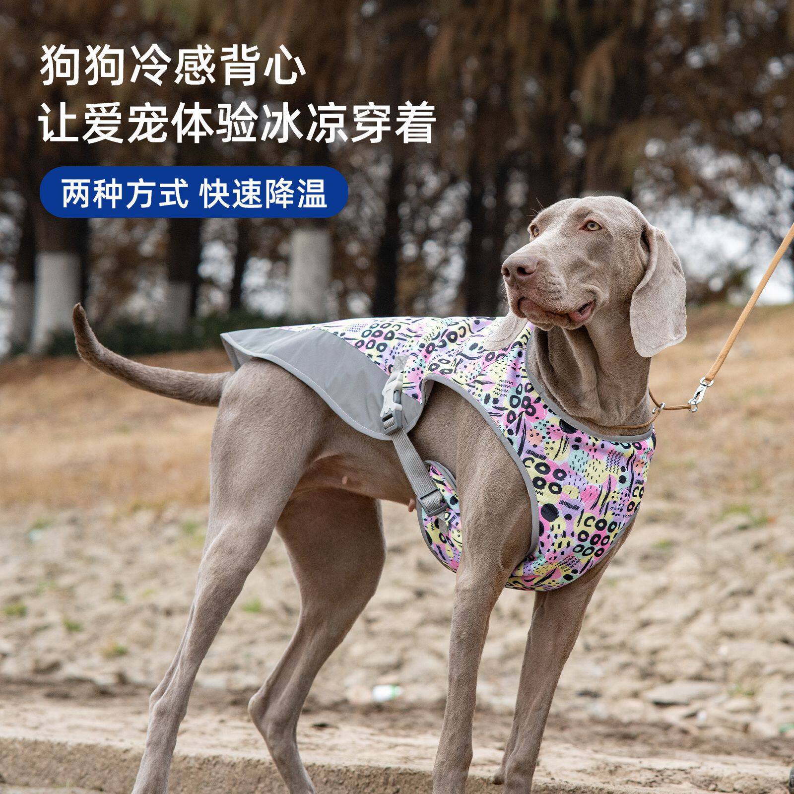 夏季狗狗凉凉衣户外出行史宾格冷感背心透气降温猎犬大狗降温衣服