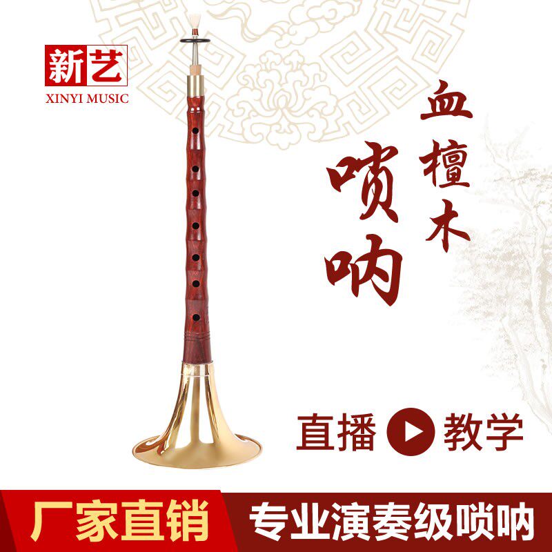 新艺 唢呐乐器全套初学者成人 专业演奏型血檀木唢呐D调 民间喇叭