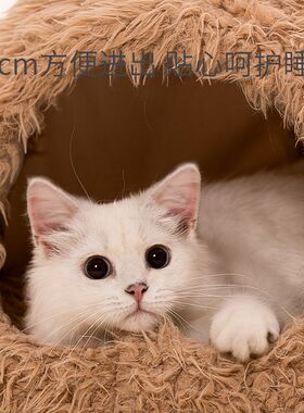 猫窝冬季加厚狗窝保暖半封闭式宠物窝狗床猫屋垫子帐篷窝猫咪用品