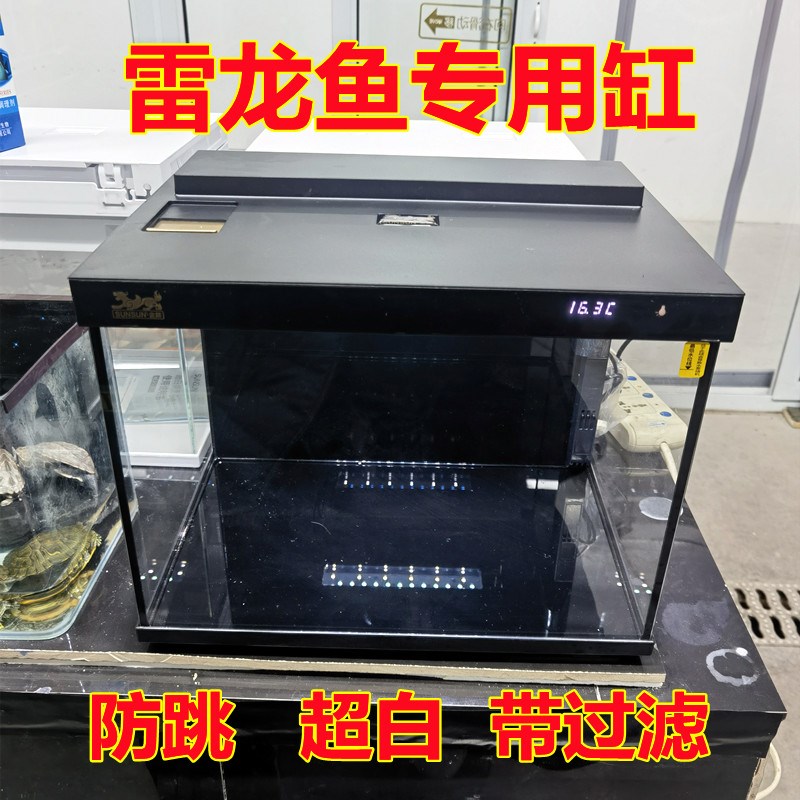 雷龙鱼专用超白玻璃鱼缸客厅小型家用水族箱生态玻璃金鱼缸水草缸