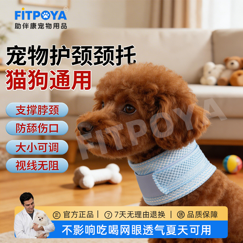 宠物颈托夏季透气狗狗猫咪脖套颈椎支撑脖子固定防舔咬伤口护颈套