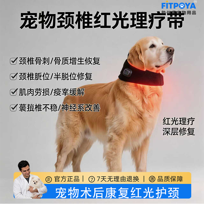 宠物金毛颈椎脱位颈椎肌肉劳损寰枢椎不稳神经炎恢复理疗红光护颈