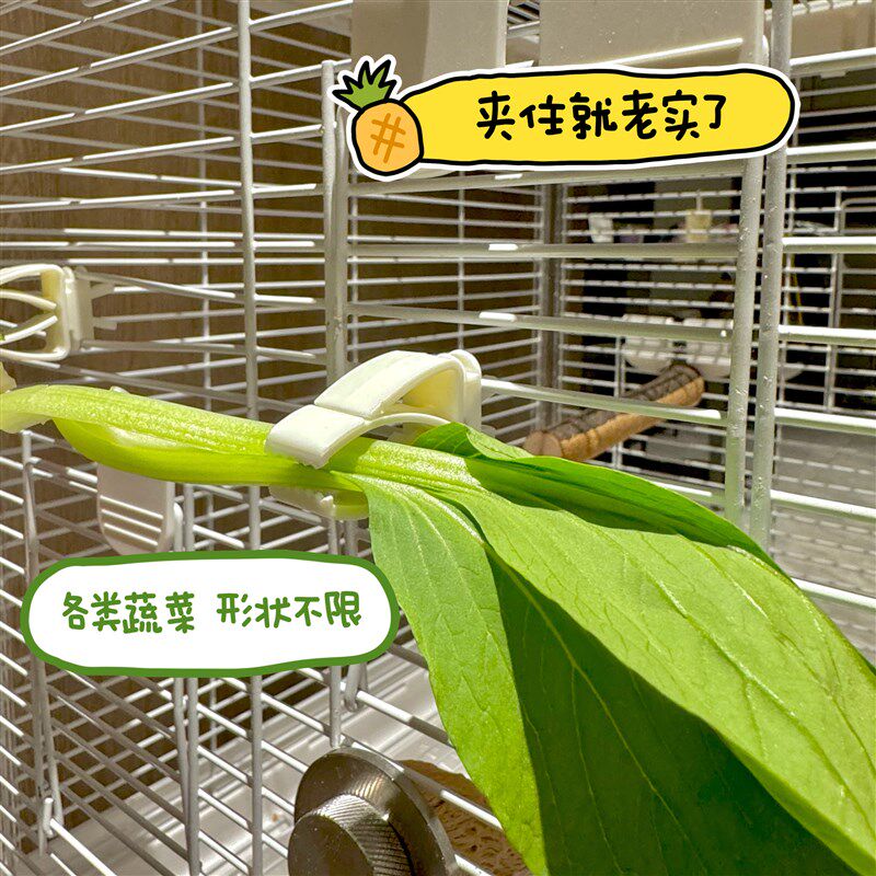 鹦鹉水果挂钩夹子叉子墨鱼骨固定蔬菜零食鸟笼夹多功能鹦鹉玩具