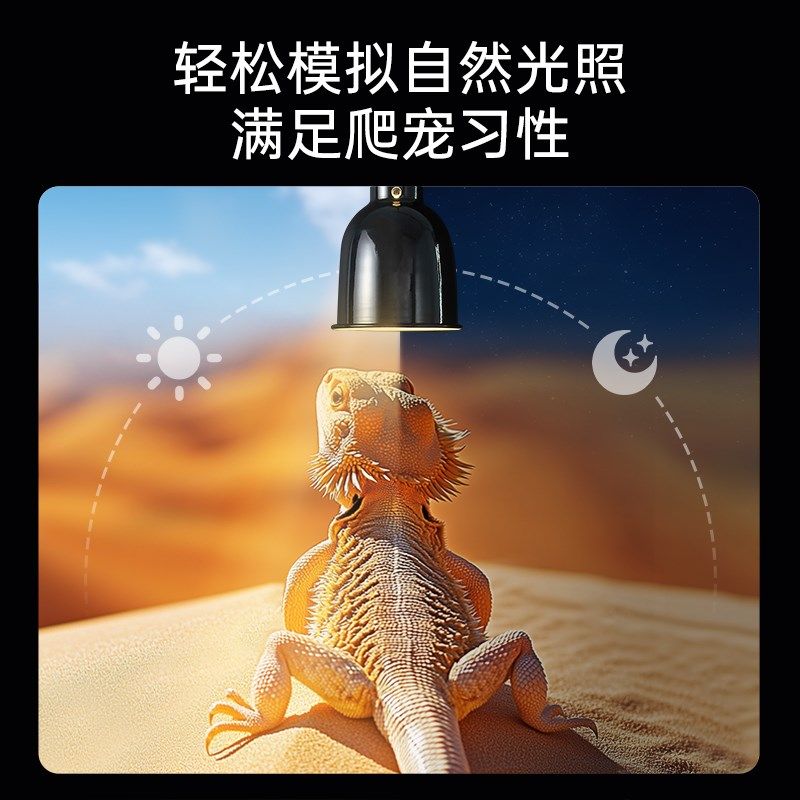 其鳞定时灯罩陶瓷加热灯晒背灯乌龟守宫爬宠uvb架爬宠蜥蜴饲养缸