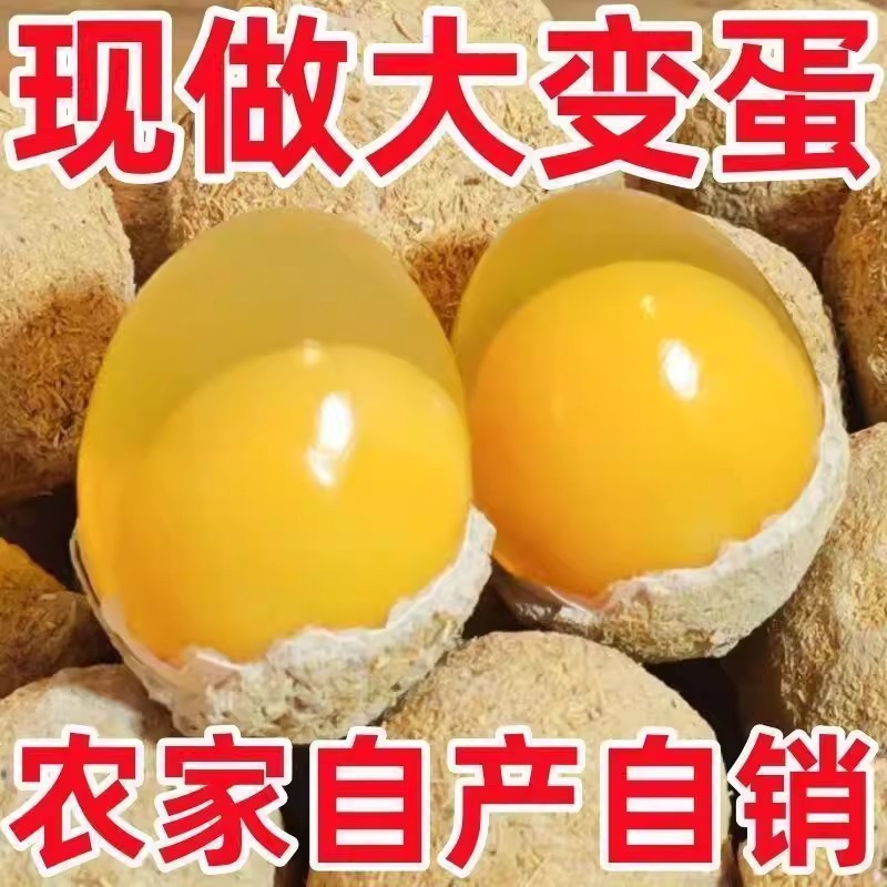正宗手工变蛋河南特产农家水晶鸡蛋变蛋松花皮蛋无铅溏心整箱