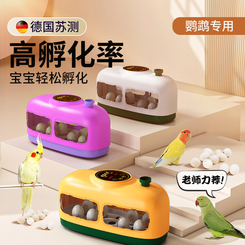 虎皮鹦鹉蛋孵化器专用玄凤鹦鹉受精蛋孵蛋器小型孵化箱家用牡丹