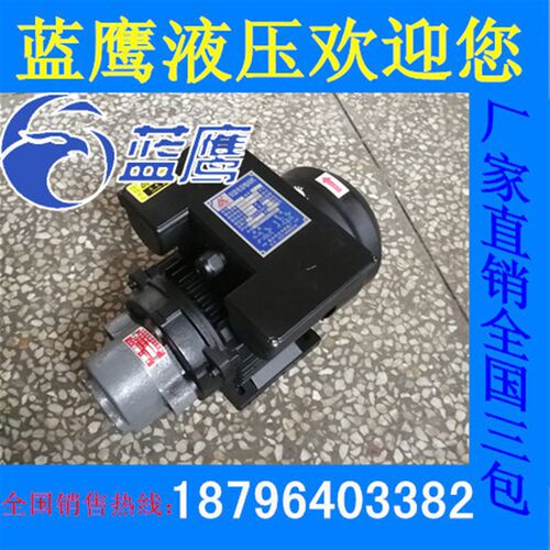 CB-B6直连齿轮泵电机组B4 B2.5 CB-B10单相220V润滑油泵电机装置