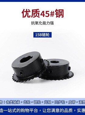 03C链轮替代SP15B15齿16 17 18y 20 24 26 28 30小链条轮替代VLB1