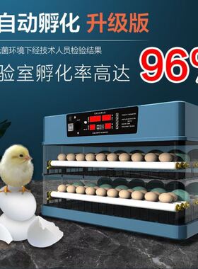孵化机全自动家用小鸡孵化器小型孵蛋器水床智能鸭鹅鸟鸽子卵蛋机