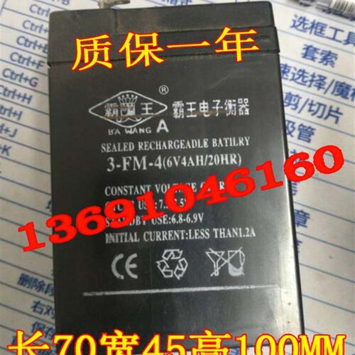 霸王电子衡器蓄电池 3-FM-4 6V4AH/20HR电子称 台秤 天平秤电瓶