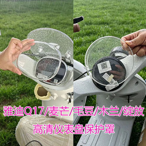 雅迪Q17木兰毛豆麦芒绽放仪表罩