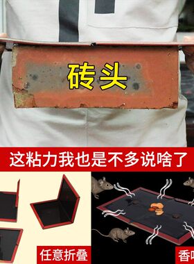 超强黏力粘鼠板超强力老鼠贴物理驱鼠灭鼠器加大加粘家用捕鼠胶